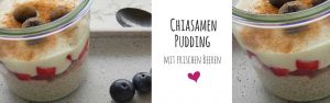 Ciasamen-Pudding-Blog_Gärtn